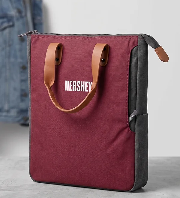 mochila tipo portafolio